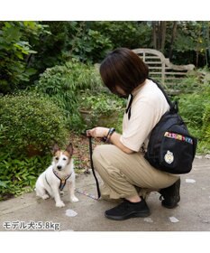 PET PARADISE スヌーピー 75周年 お散歩ショルダー