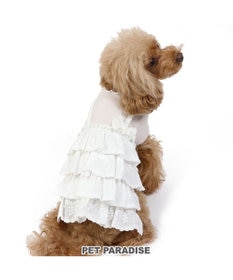 犬の服 犬 冬服 ワンピース 【小型犬】 重ね着風 ピンク