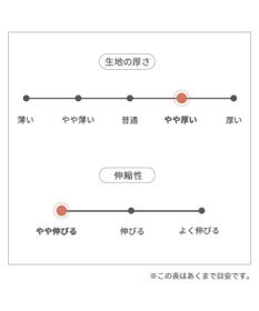 PET PARADISE スヌーピー やさしい ベスト  リバーシブル 中型犬