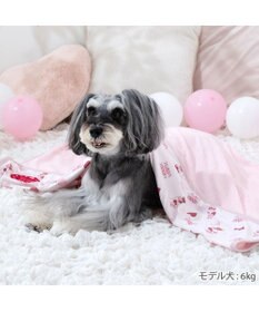 PET PARADISE ディズニー ミニーマウス クール ブランケット 《ハート柄》