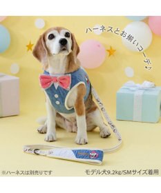 PET PARADISE スヌーピー バースデー リード SM