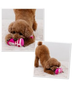 PET PARADISE ディズニー チェシャ猫 ロープトイ