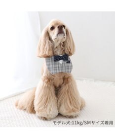 PET PARADISE ペットパラダイス 蝶ネクタイ スタイ 《チェック柄》 中型犬 大型犬