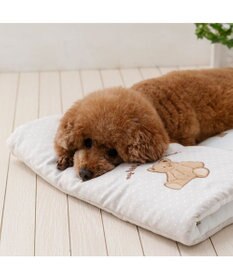 PET PARADISE ペットパラダイス  クールロールマット 《くまちゃん》