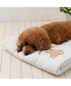 PET PARADISE ペットパラダイス  クールロールマット 《くまちゃん》