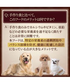 PET PARADISE ペットパラダイス ドッグフード ビオキッチン 3kg 国産