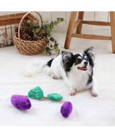 PET PARADISE 犬用品 ペットグッズ 犬 おもちゃ ペットパラダイス 犬 おもちゃ ロープ つる付き さつまいも| おうちで遊ぼう おうち時間 犬 おもちゃ オモチャ ペットのペットトイ 玩具 TOY 小型犬 おもちゃ かわいい おもしろ インスタ映え