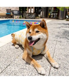 PET PARADISE ペットパラダイス タッチワンクールプラス キャミソール 《あひる》 中型犬