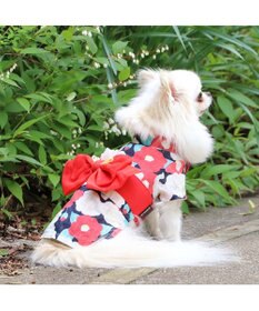 PET PARADISE 犬の服 夏 犬服 浴衣 椿柄 赤  【小型犬】