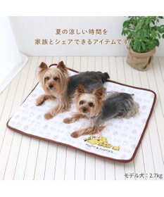 PET PARADISE ディズニー ミッキーマウス もちっとクールマット 防臭
