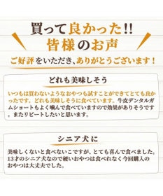 PET PARADISE ペットパラダイス 犬 おやつ デリスタイル8種類 鶏肉系セット