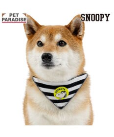 PET PARADISE スヌーピー ＪOE COOL 反射首輪 リバーシブル仕様 Ｍ