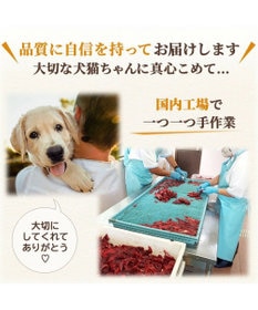 PET PARADISE ペットパラダイス 犬 おやつ デリスタイル8種類 鶏肉系セット