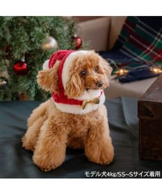 PET PARADISE ペットパラダイス サンタ-帽子 ４Ｓ～３Ｓ/ＳＳ～Ｓ  2026 小型犬