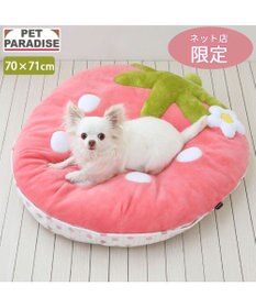 PET PARADISE ネット店限定 ペットパラダイス 苺 クッション 《パステルピンク》 70×71cm 小型犬