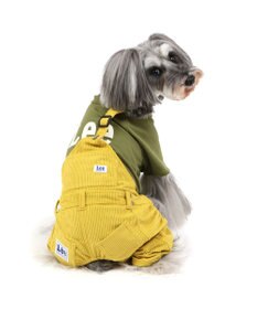 PET PARADISE Lee ワンショルダーパンツつなぎ  小型犬