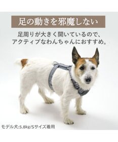 PET PARADISE ペットパラダイス  アクティブハーネス 杢調 ３Ｓ 小型犬