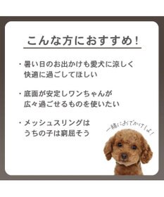 PET PARADISE スヌーピー メッシュトート キャリーバック 《グレー》 Ｍ 小型犬