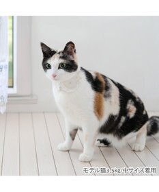 PET PARADISE ペットパラダイス 猫首輪  お花襟付き  S / M