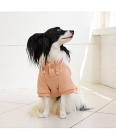 PET PARADISE ペットパラダイス Mai Kuraki ベニート パーカー 《ピンク》 中型犬