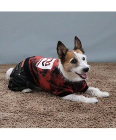 PET PARADISE Lee タイダイ つなぎパンツ  小型犬