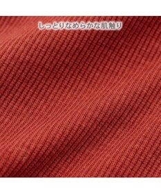 PET PARADISE ペットパラダイス  プレミアム ぺティヒート スキッパーTシャツ 小型犬
