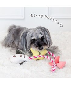 PET PARADISE スヌーピー リボン ロープ トイ