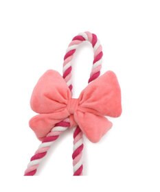 PET PARADISE スヌーピー リボン ロープ トイ