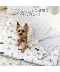 PET PARADISE リサとガスパール もちっと クールマット