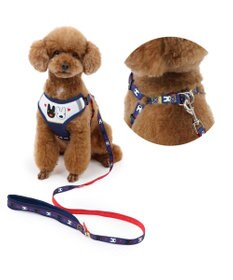 PET PARADISE リサとガスパール ハーネス＆リード ３Ｓ 《ハート柄》 超小型犬