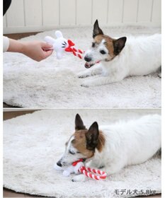 PET PARADISE ディズニー ミニーマウス 《手のロープトイ》 犬用おもちゃ