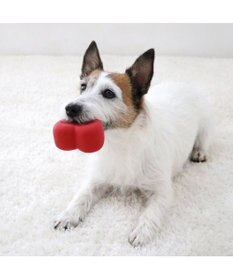 PET PARADISE スヌーピー ハート ラテックス トイ