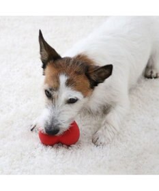 PET PARADISE スヌーピー ハート ラテックス トイ