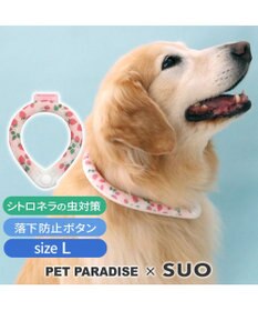 PET PARADISE ペットパラダイス 28℃クールリング SUO 《いちご柄》 〔Ｌ〕 大型犬