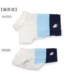 PET PARADISE J.PRESS スキッパーポロシャツ トリコロール 小型犬