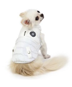 PET PARADISE J.PRESS 綿入り フライト ベスト 《ホワイト》 小型犬