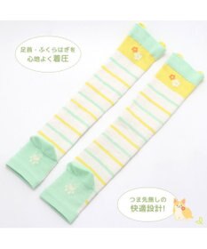 Mother garden マザーガーデン ふわんこ コーギー ひざ下 着圧靴下 レディースフリーサイズ