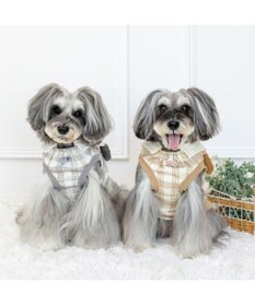 PET PARADISE スヌーピー シブリングス トレーナー 《グレー》 小型犬