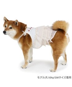 PET PARADISE ペットパラダイス エコメッシュ キャミソール 《苺刺繍》 中型犬 大型犬