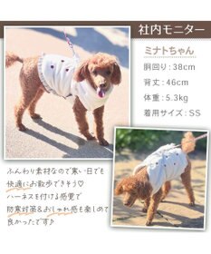 PET PARADISE ペットパラダイス ふりふり アウターハーネス 小型犬