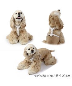 PET PARADISE 反射 花柄 アクティブハーネス 【ＳM】中型犬