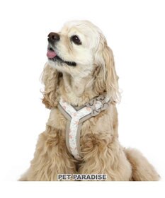 PET PARADISE 反射 花柄 アクティブハーネス 【ＳM】中型犬