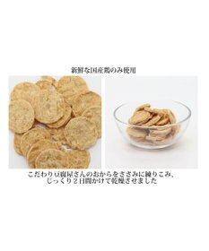 PET PARADISE ペットパラダイス ささみおからチップス大袋