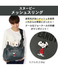 PET PARADISE スヌーピーソフト メッシュ 【超小型犬】