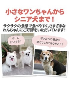 PET PARADISE かぼちゃ ボーロ 160g 大袋