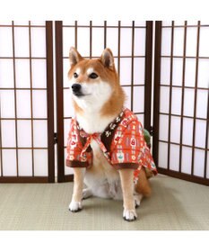 PET PARADISE ペットパラダイス おもちゃ付き ホカホカ半纏 中型犬 大型犬
