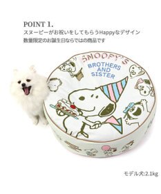 PET PARADISE 【限定250個】スヌーピー 限定 バースデー クッション