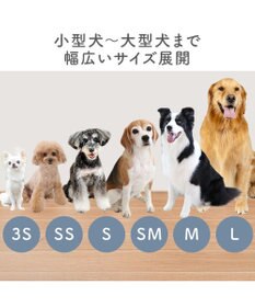 PET PARADISE ペットパラダイス スポーティー シューズ Ｍ