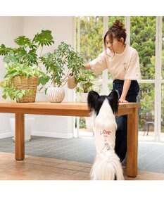 PET PARADISE ペットパラダイス Mai Kuraki　LOVE  オーナー Ｔシャツ 《ホワイト》　ユニセックス