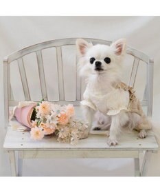 PET PARADISE ペットパラダイス ニット風パンツつなぎ 小型犬